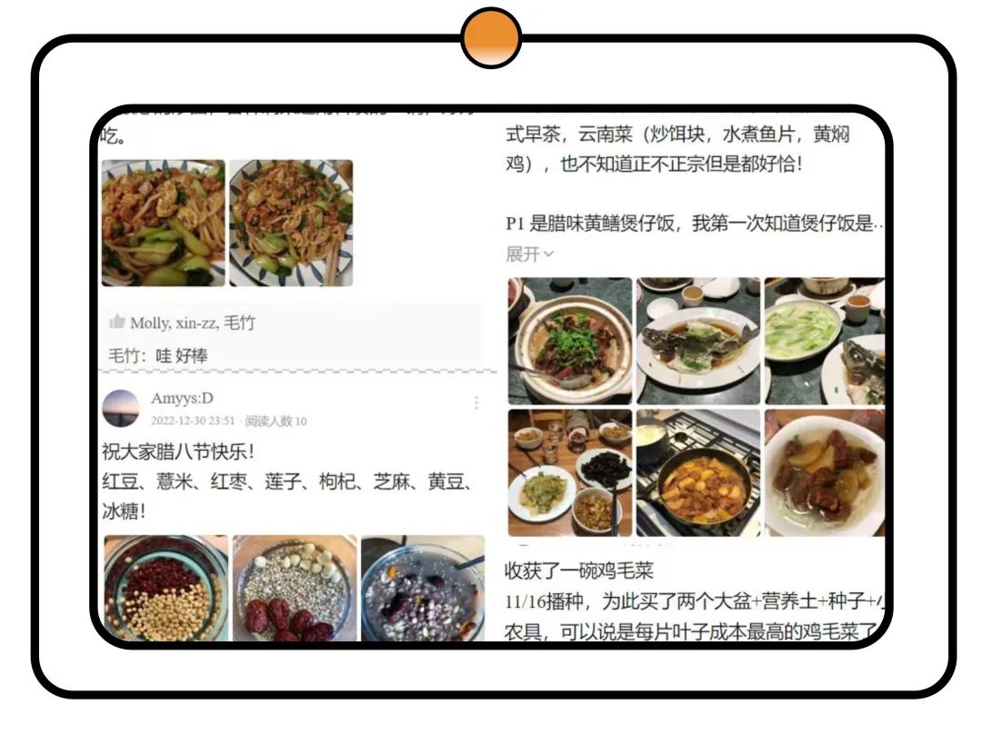 Action4Good 第三季：低碳行动支持 | 入选项目公布