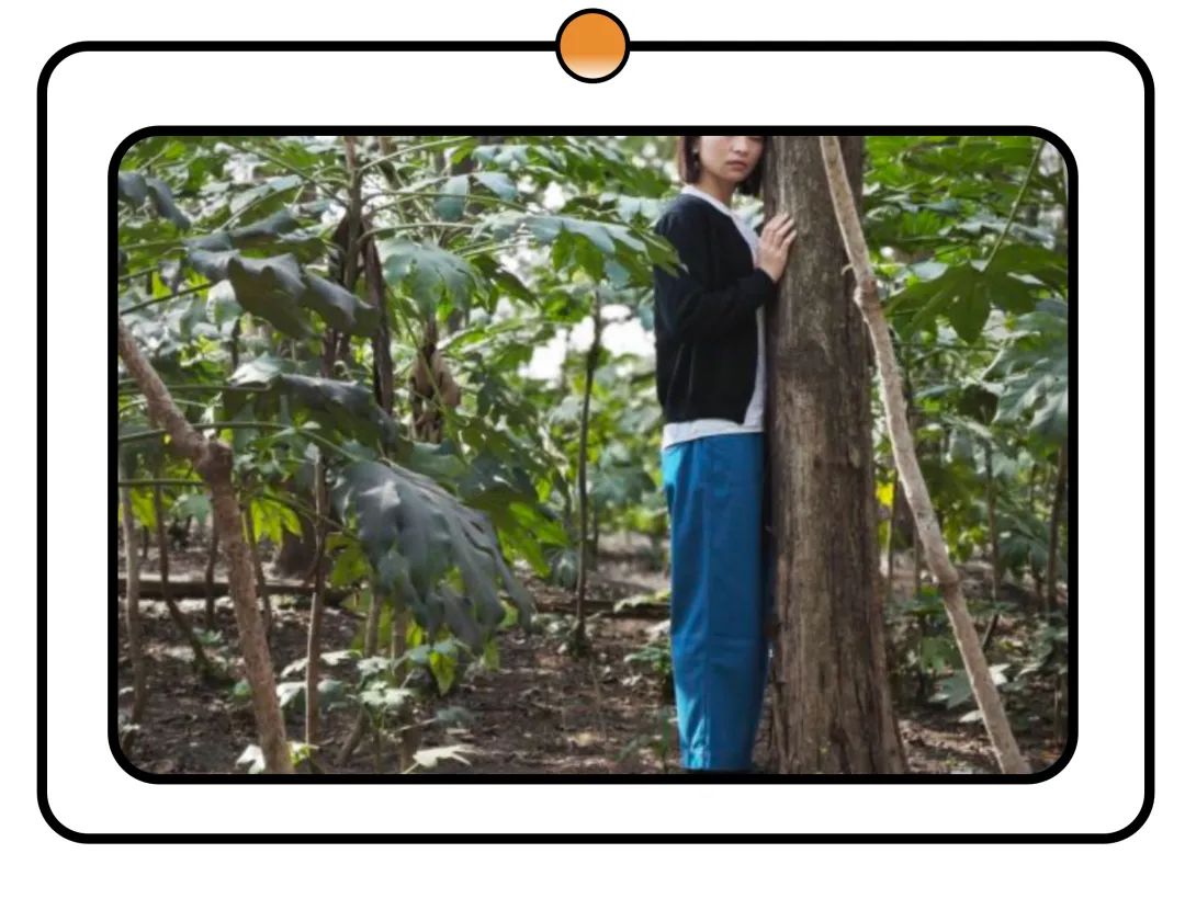 Action4Good 第三季：低碳行动支持 | 入选项目公布