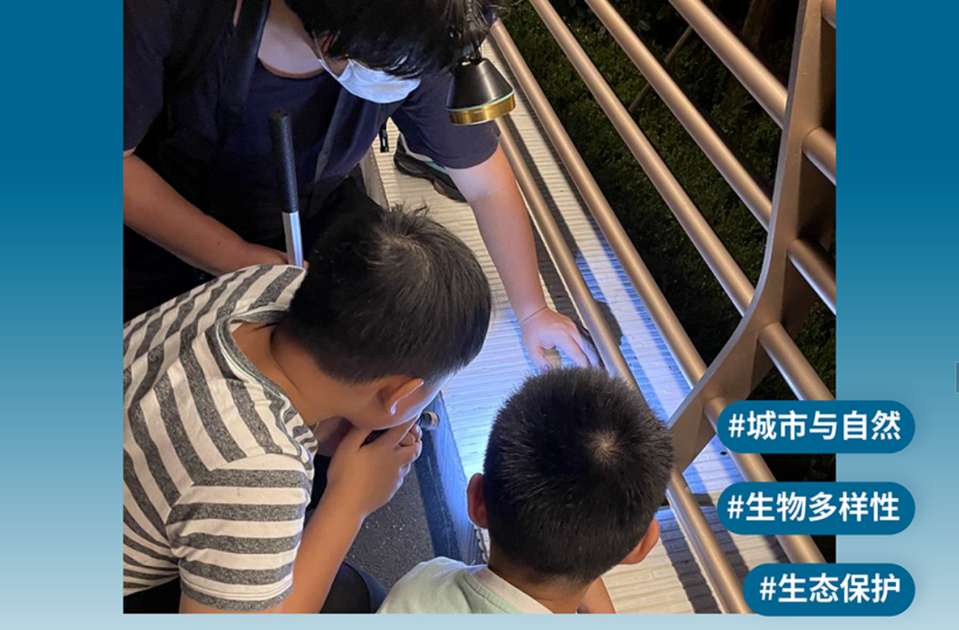 Action4Good 第三季：低碳行动支持 | 入选项目公布