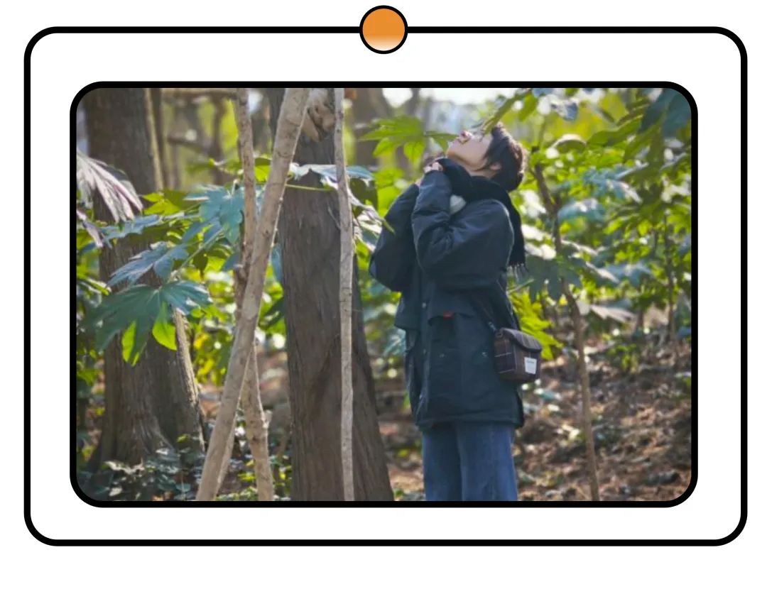 Action4Good 第三季：低碳行动支持 | 入选项目公布